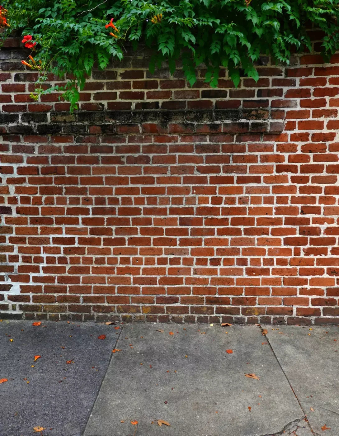 Schoolyard Brick Sweep 6X8 Fleece ( 72 X 96 Inch ) Backdrop