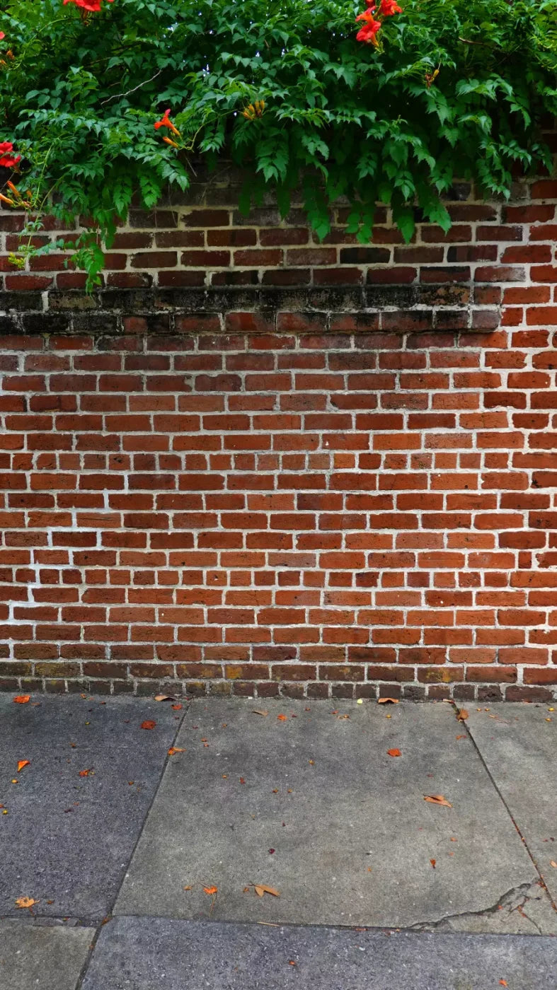 Schoolyard Brick Sweep 8X14 Ultracloth ( 96 X 168 Inch ) Backdrop