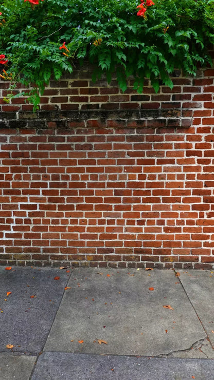 Schoolyard Brick Sweep 8X14 Ultracloth ( 96 X 168 Inch ) Backdrop