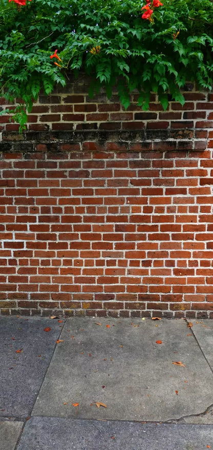 Schoolyard Brick Sweep 8X16 Ultracloth ( 96 X 192 Inch ) Backdrop