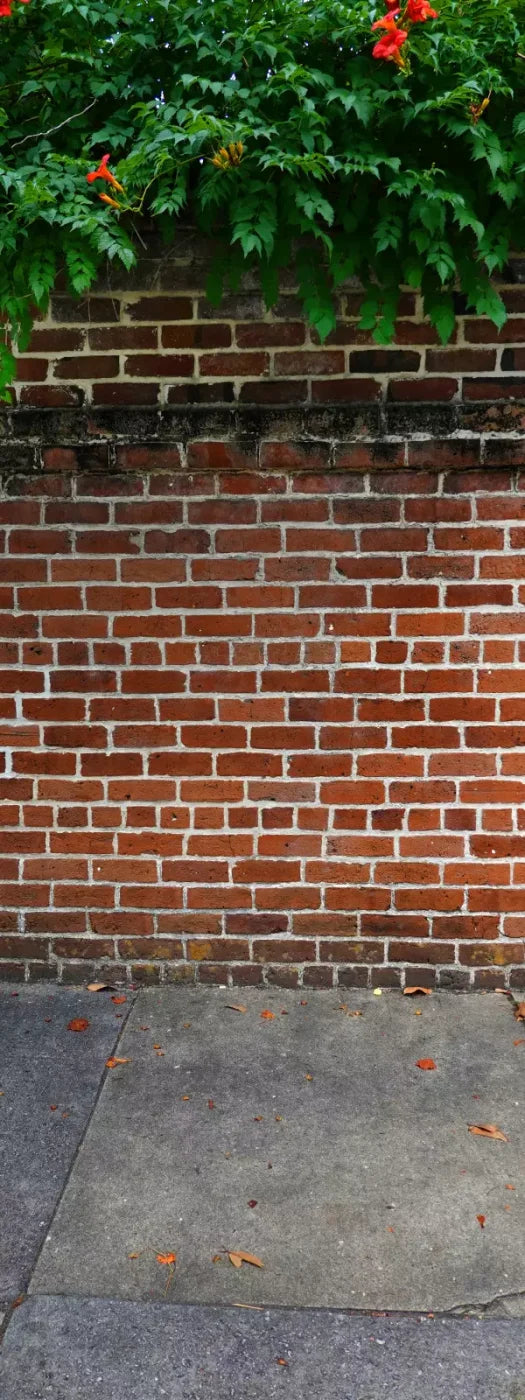 Schoolyard Brick Sweep 8X20 Ultracloth ( 96 X 240 Inch ) Backdrop