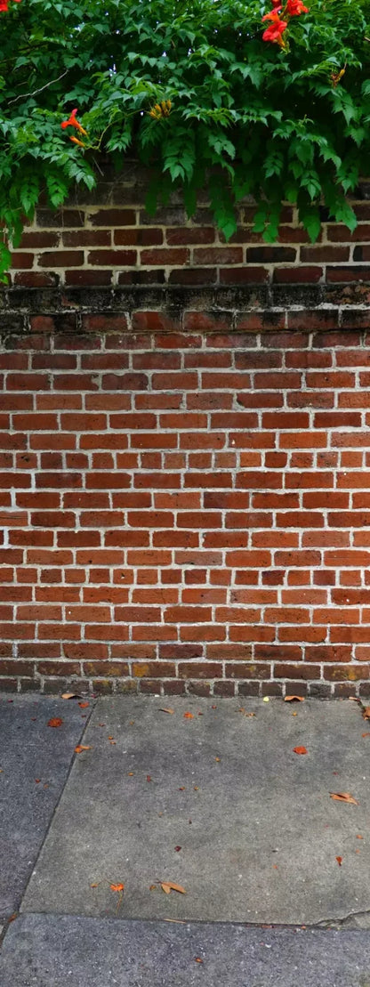 Schoolyard Brick Sweep 8X20 Ultracloth ( 96 X 240 Inch ) Backdrop
