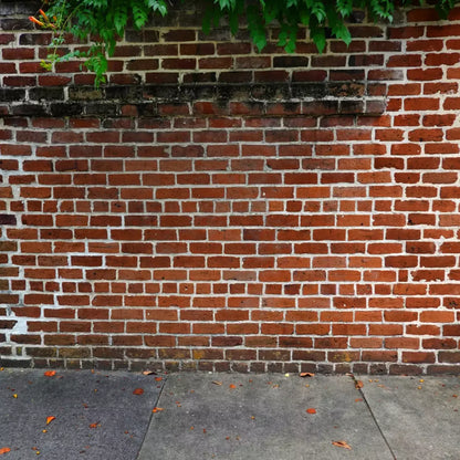 Schoolyard Brick Sweep 8X8 Fleece ( 96 X Inch ) Backdrop