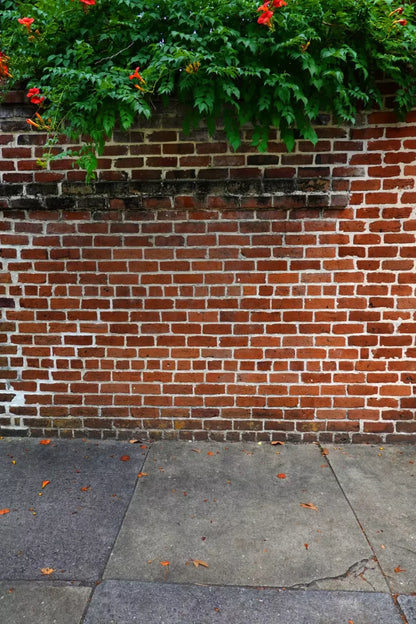 Schoolyard Brick Sweep Backdrop