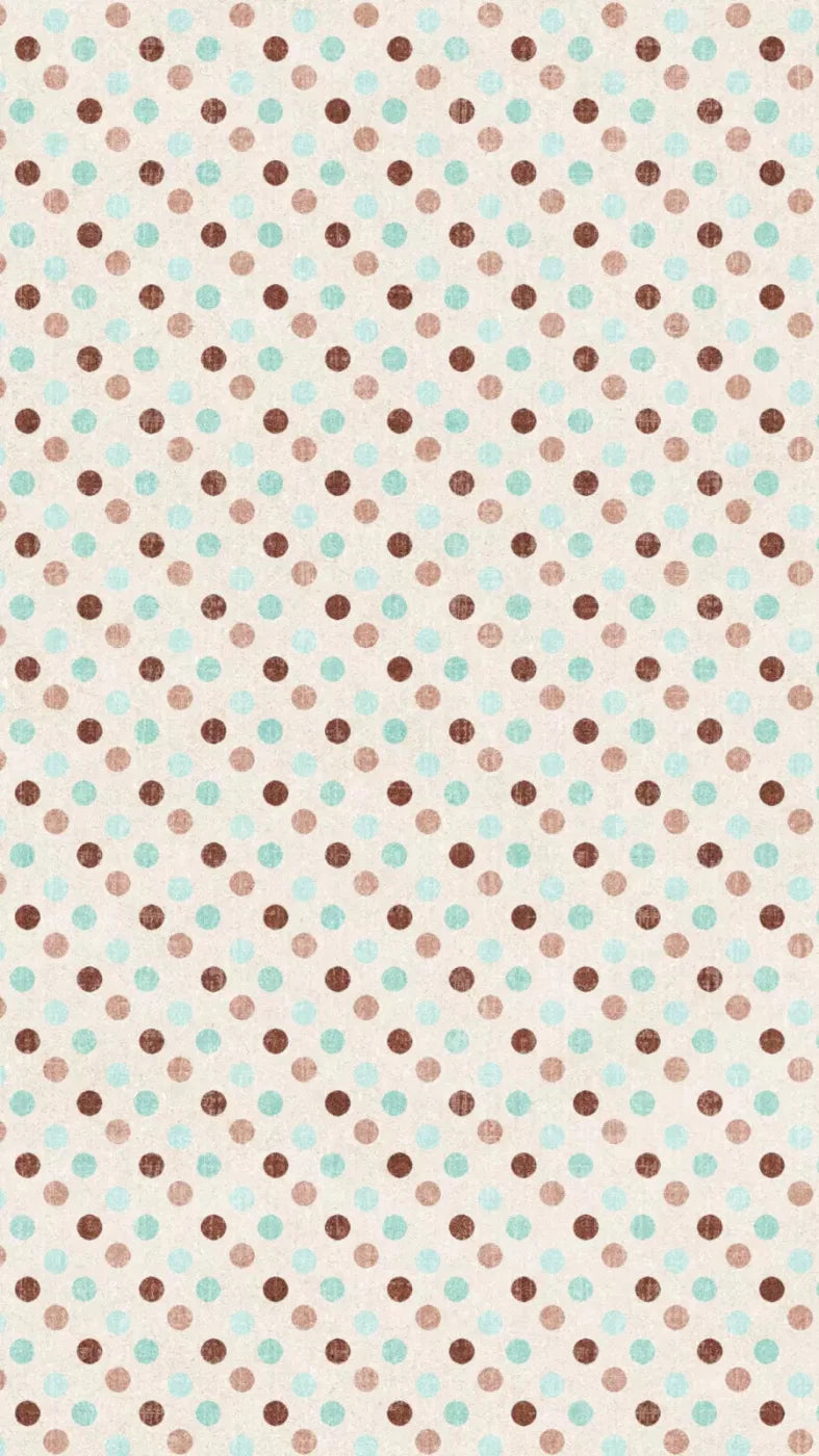 Scooter 8X14 Ultracloth ( 96 X 168 Inch ) Backdrop