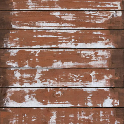 Scour 10X10 Ultracloth ( 120 X Inch ) Backdrop