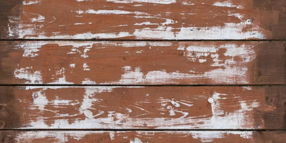 Scour 20X10 Ultracloth ( 240 X 120 Inch ) Backdrop