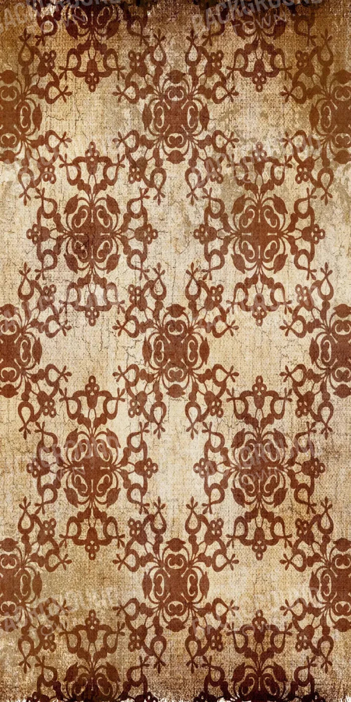 Seasoned 10X20 Ultracloth ( 120 X 240 Inch ) Backdrop