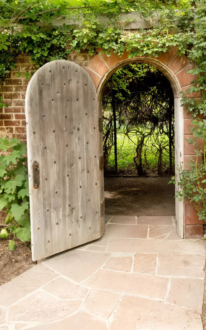 Secret Garden 9X14 Ultracloth ( 108 X 168 Inch ) Backdrop