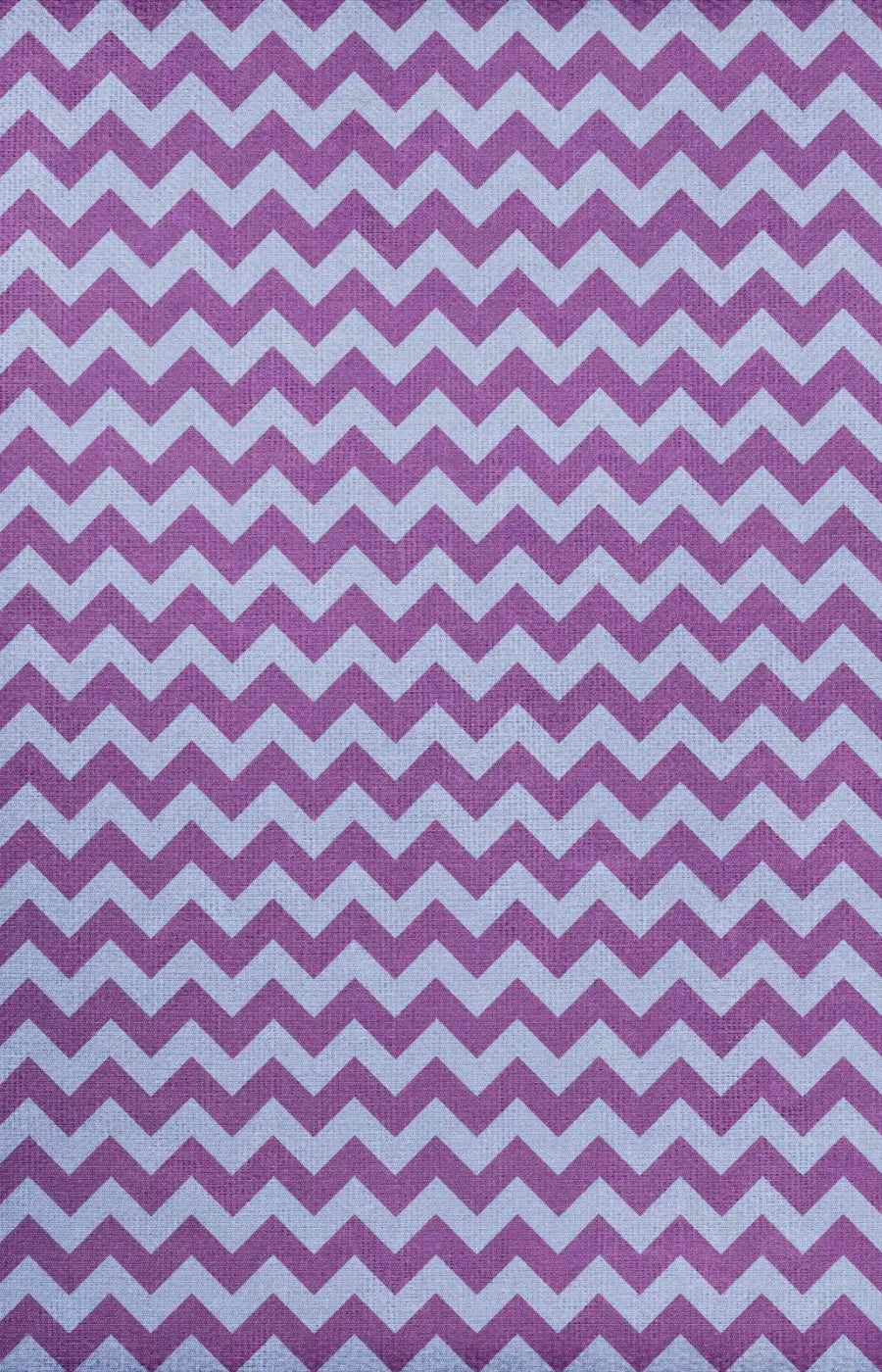 Seesaw 8X12 Ultracloth ( 96 X 144 Inch ) Backdrop
