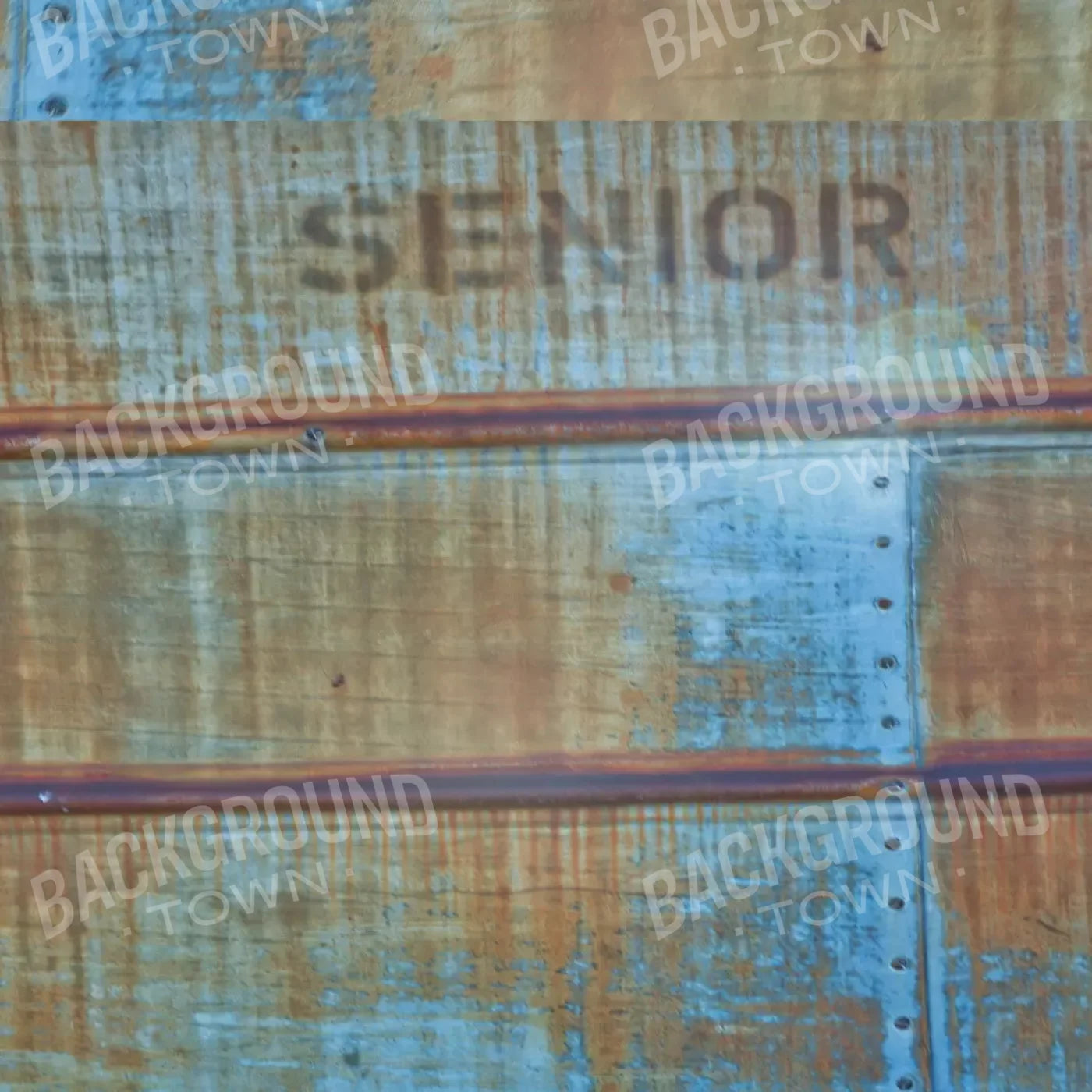 Senior Grunge 10X10 Ultracloth ( 120 X Inch ) Backdrop