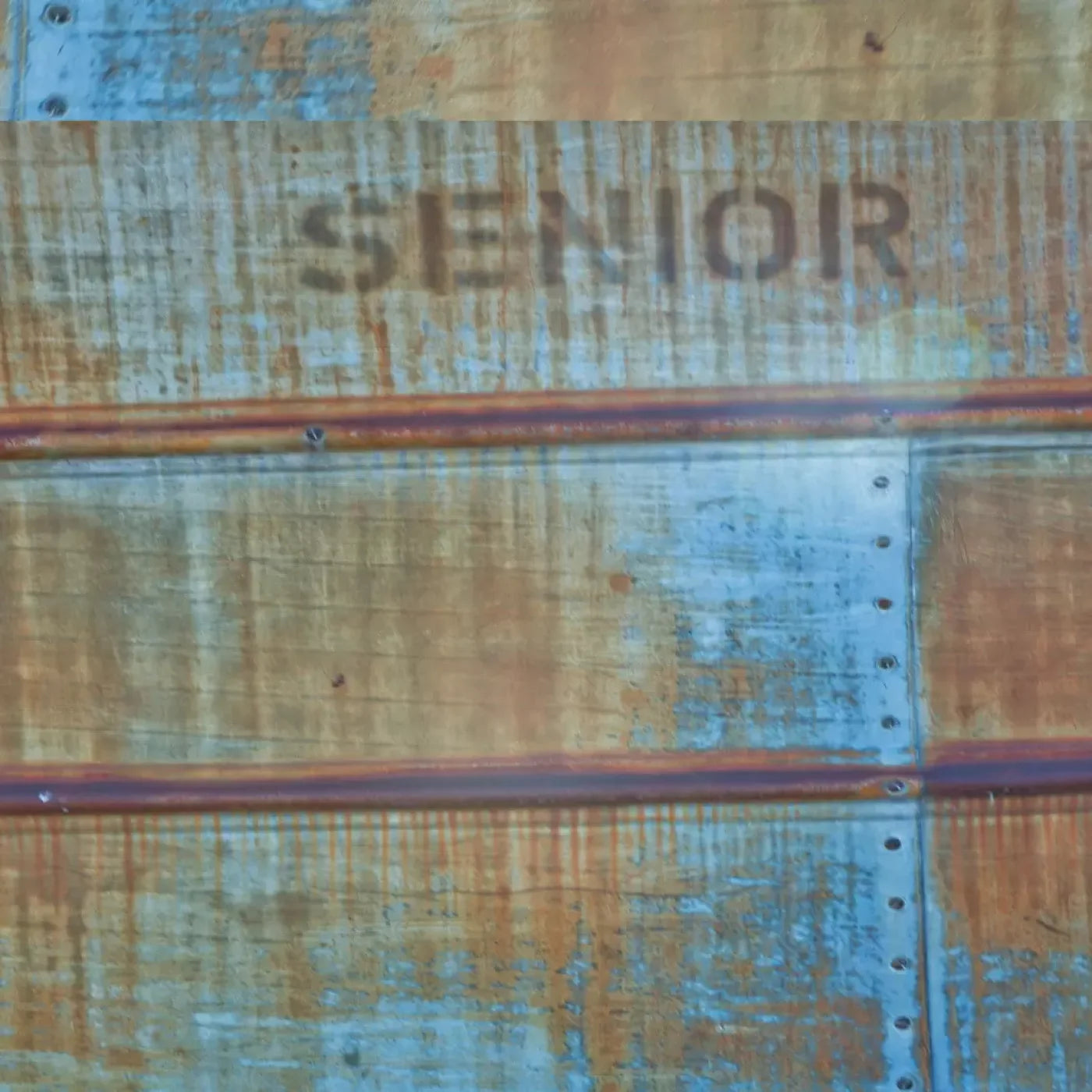 Senior Grunge 10X10 Ultracloth ( 120 X Inch ) Backdrop