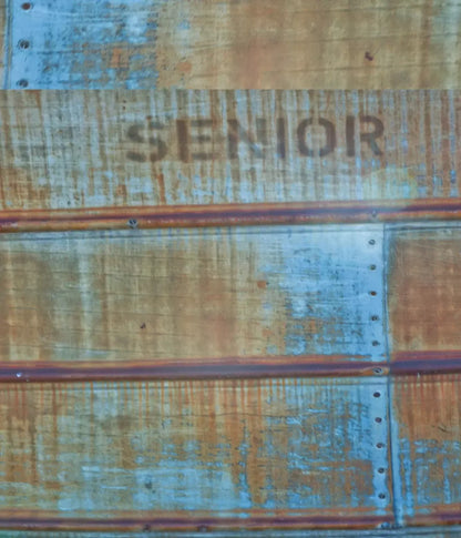 Senior Grunge 10X12 Ultracloth ( 120 X 144 Inch ) Backdrop