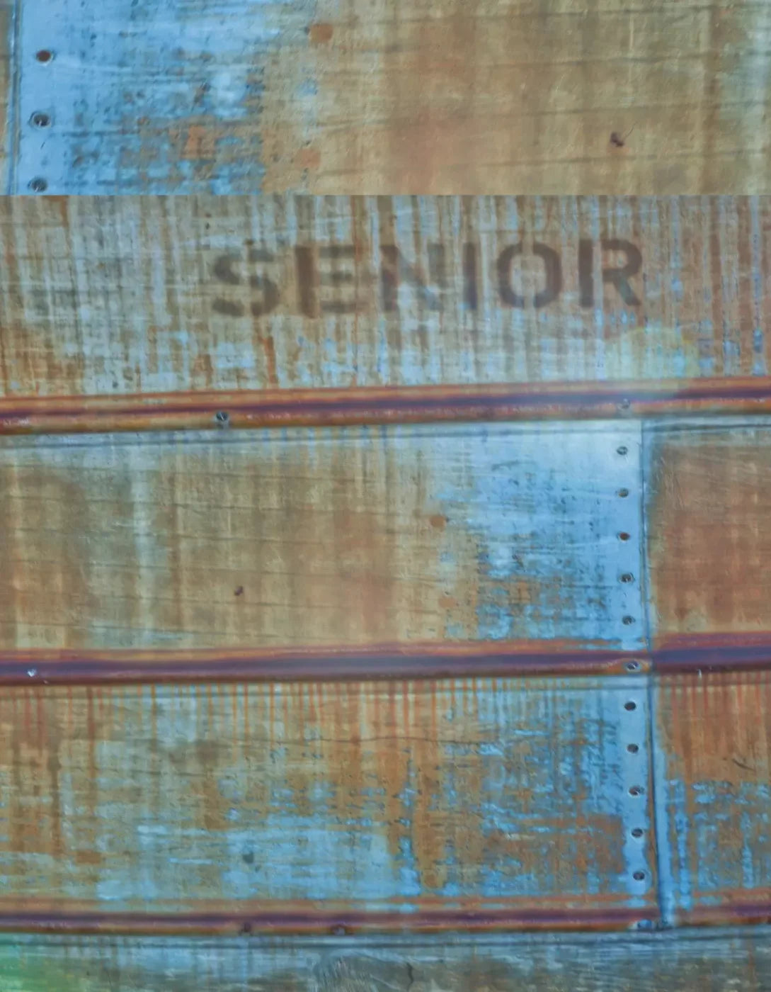 Senior Grunge 6X8 Fleece ( 72 X 96 Inch ) Backdrop