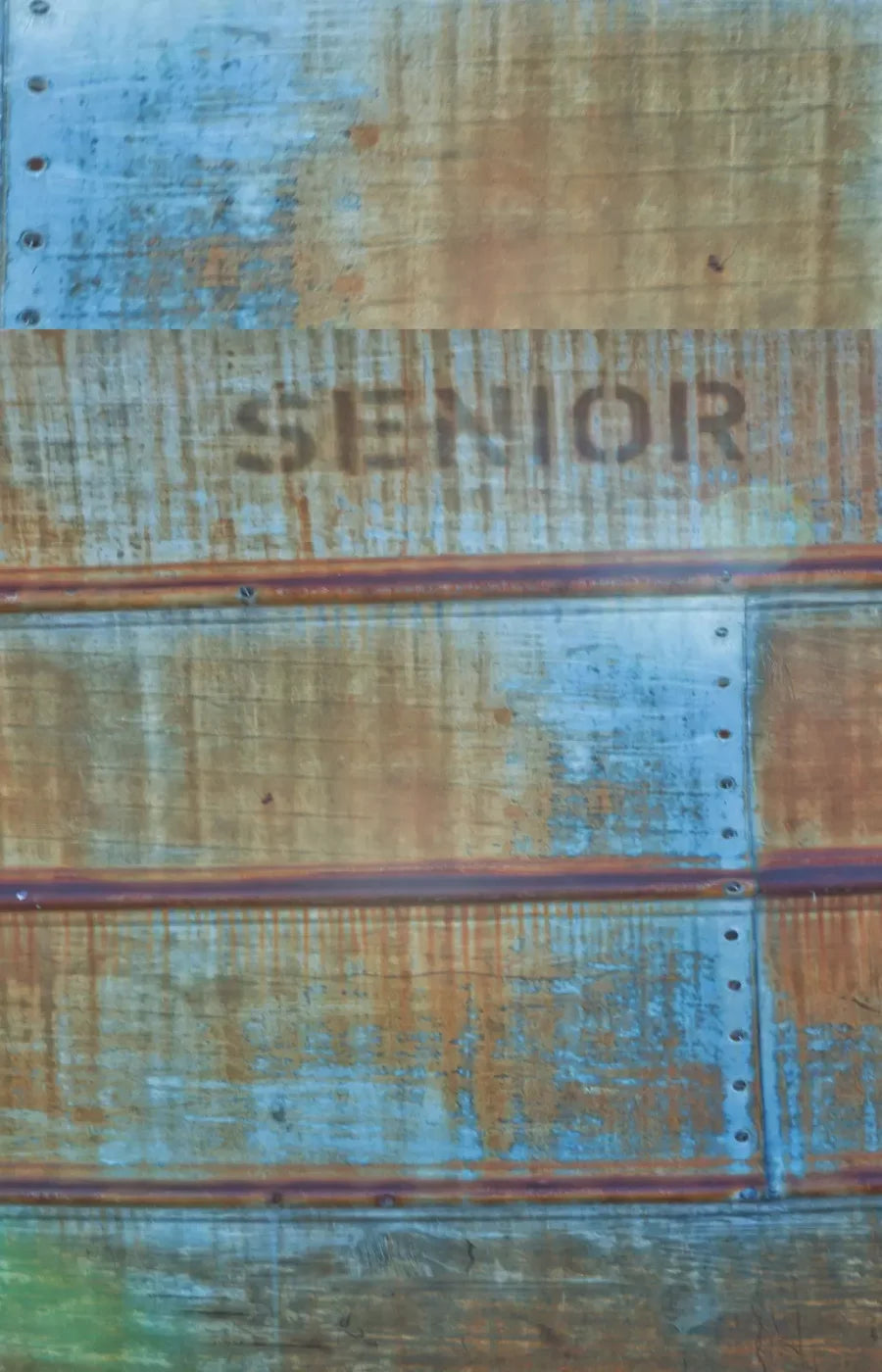 Senior Grunge 8X12 Ultracloth ( 96 X 144 Inch ) Backdrop