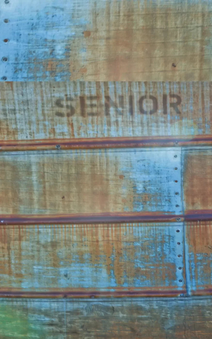 Senior Grunge 9X14 Ultracloth ( 108 X 168 Inch ) Backdrop