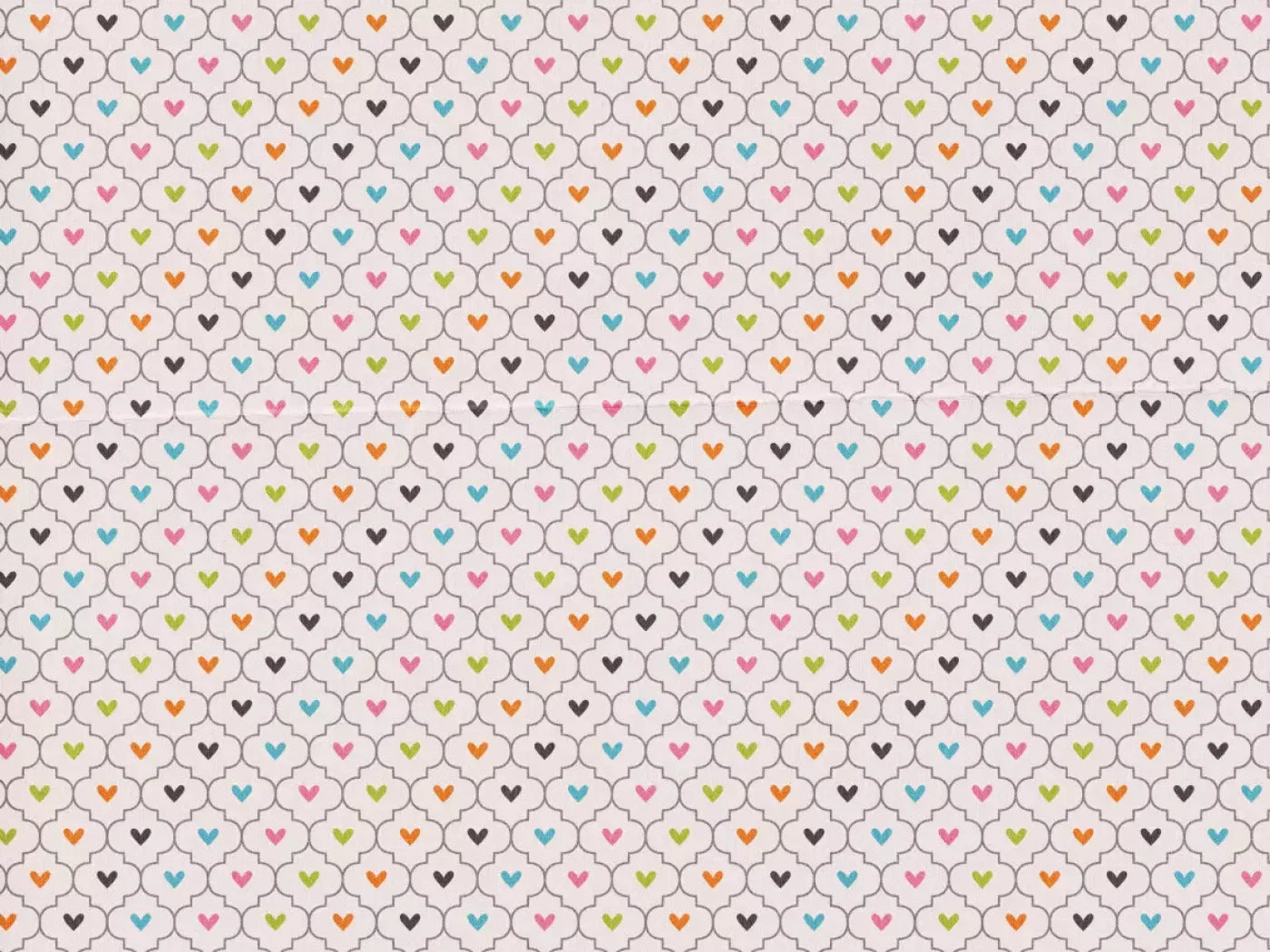 Sentiment 10X8 Fleece ( 120 X 96 Inch ) Backdrop