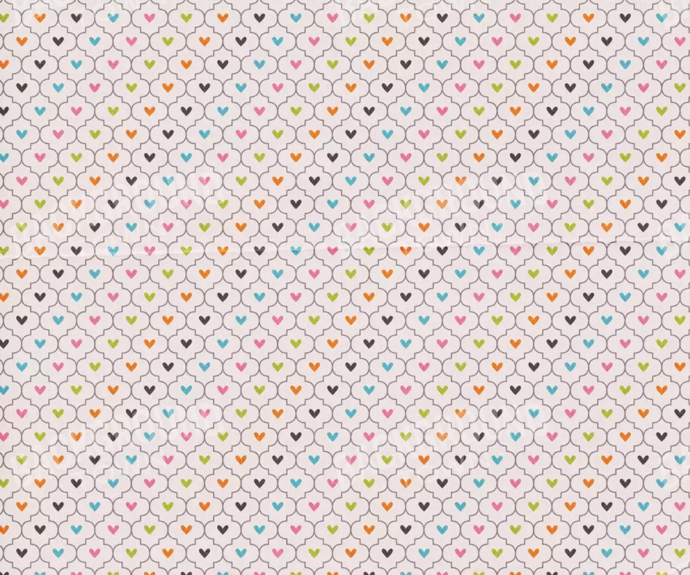 Sentiment 5X42 Fleece ( 60 X 50 Inch ) Backdrop