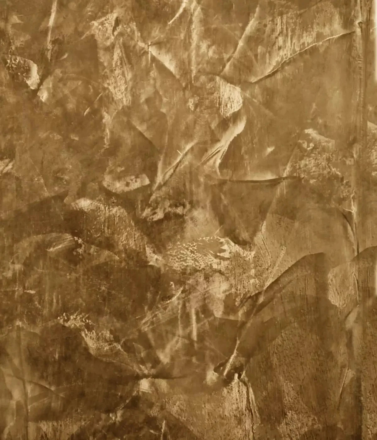 Sepia Mystique 10X12 Ultracloth ( 120 X 144 Inch ) Backdrop