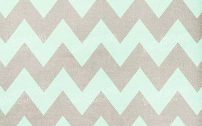 Seth 14X9 Ultracloth ( 168 X 108 Inch ) Backdrop