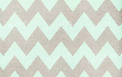 Seth 16X10 Ultracloth ( 192 X 120 Inch ) Backdrop