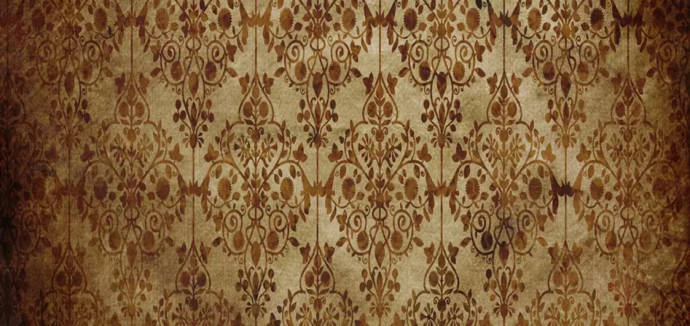 Shabby 16X8 Ultracloth ( 192 X 96 Inch ) Backdrop