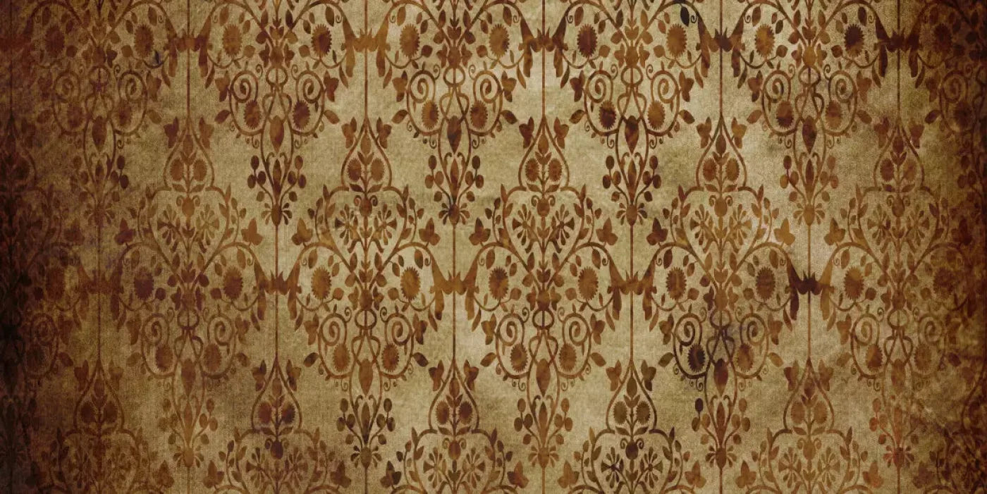 Shabby 20X10 Ultracloth ( 240 X 120 Inch ) Backdrop