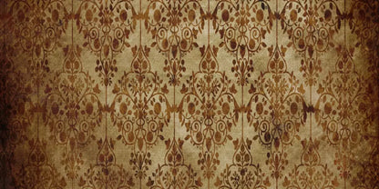 Shabby 20X10 Ultracloth ( 240 X 120 Inch ) Backdrop