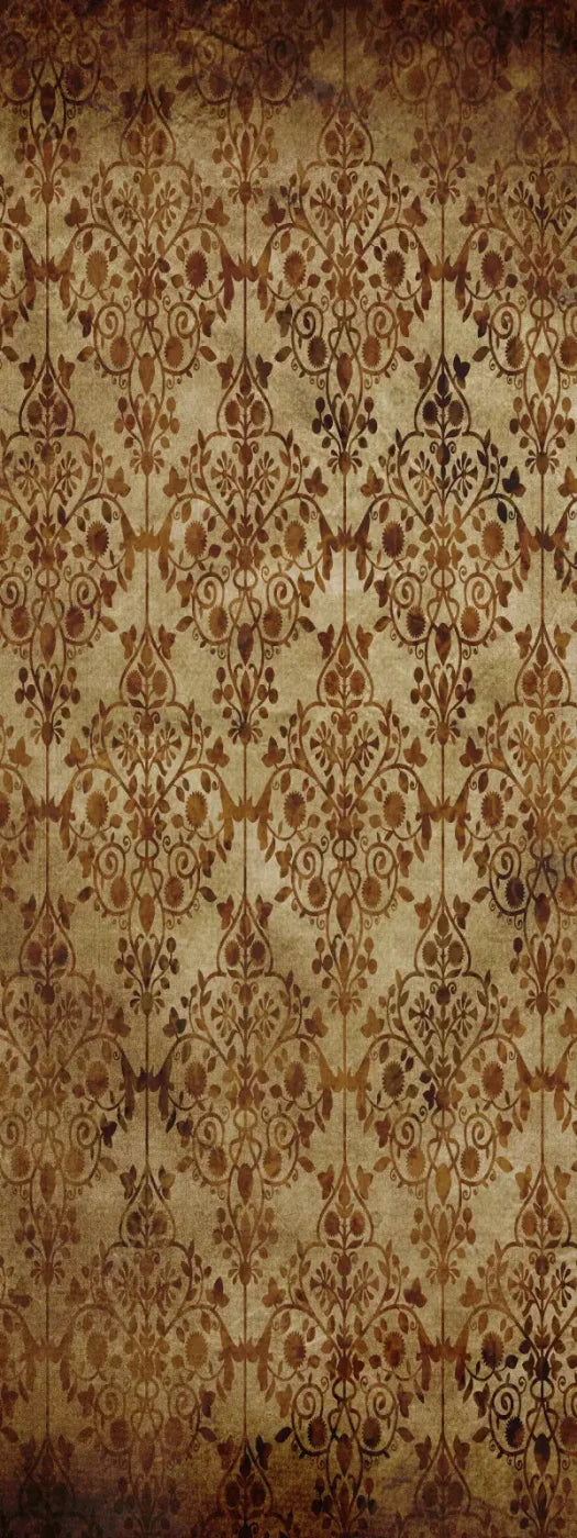 Shabby 8X20 Ultracloth ( 96 X 240 Inch ) Backdrop
