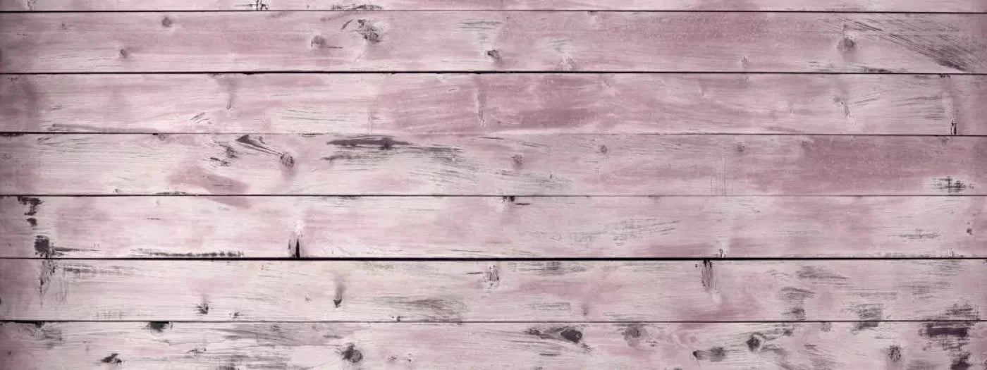 Shabby Chic Pink 20X8 Ultracloth ( 240 X 96 Inch ) Backdrop