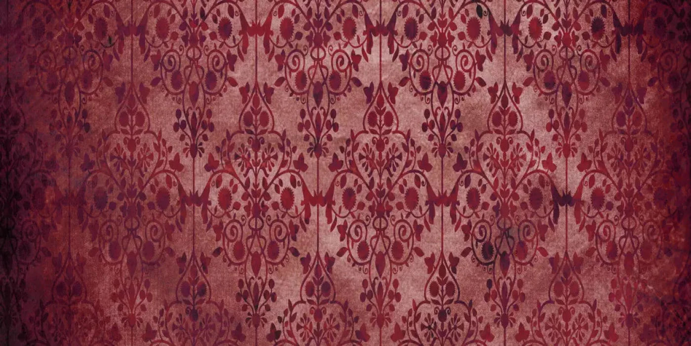Shabby Red 20X10 Ultracloth ( 240 X 120 Inch ) Backdrop