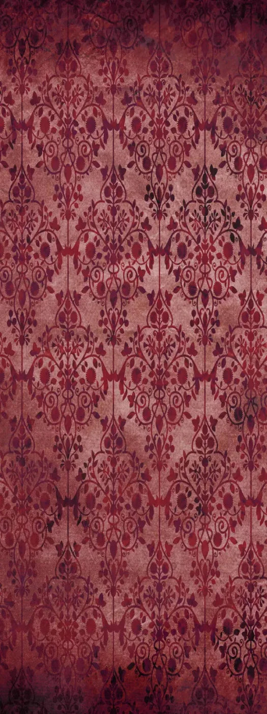 Shabby Red 8X20 Ultracloth ( 96 X 240 Inch ) Backdrop