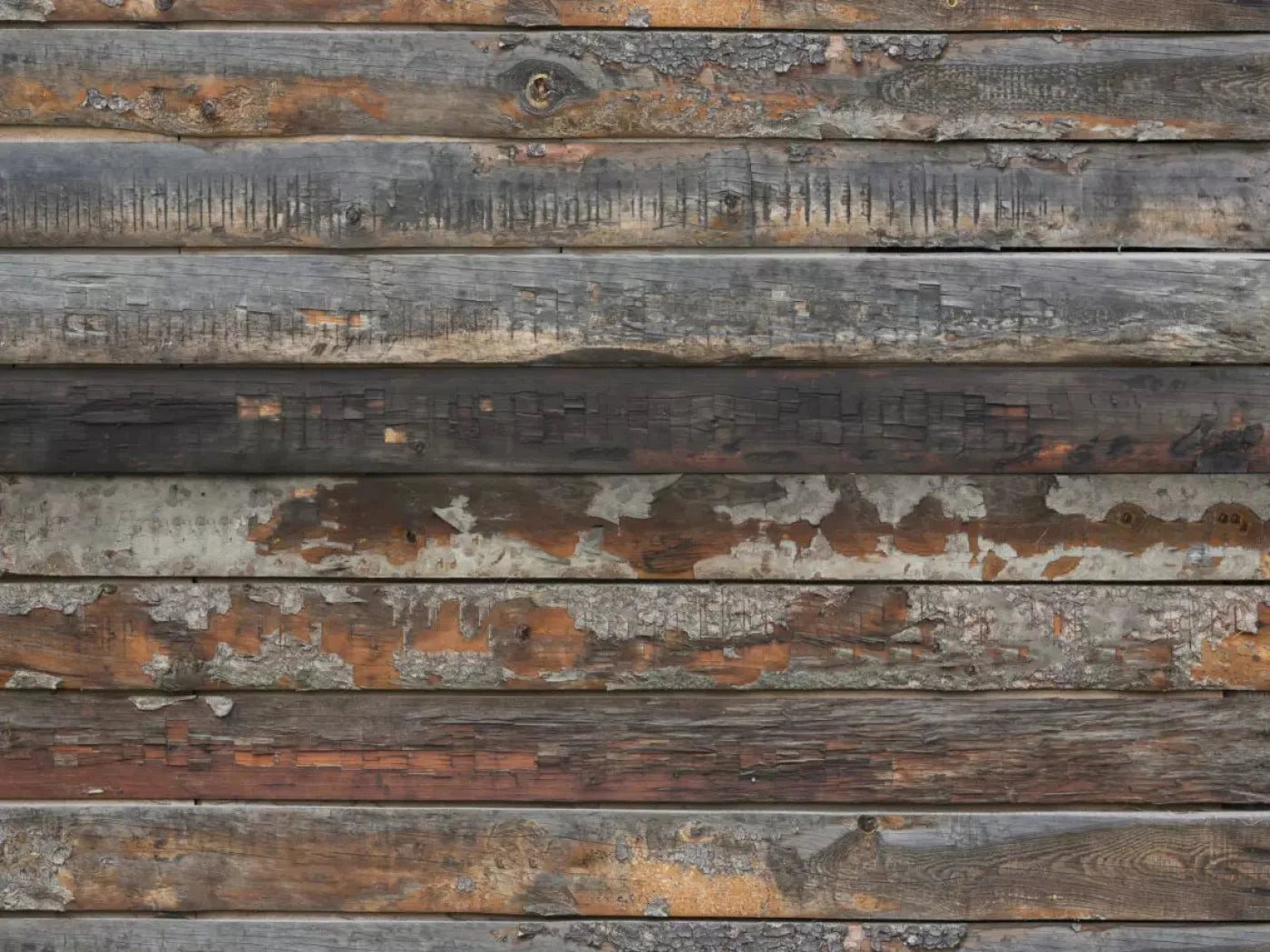 Shack 10X8 Fleece ( 120 X 96 Inch ) Backdrop
