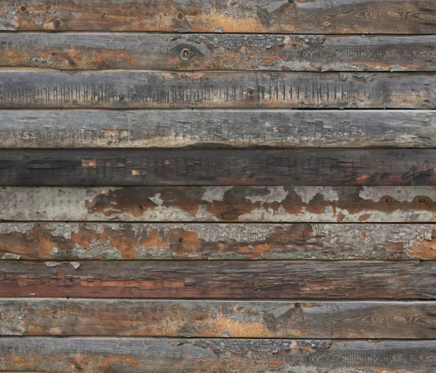 Shack 12X10 Ultracloth ( 144 X 120 Inch ) Backdrop
