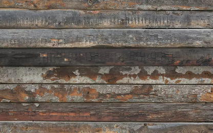 Shack 14X9 Ultracloth ( 168 X 108 Inch ) Backdrop