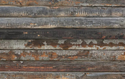 Shack 16X10 Ultracloth ( 192 X 120 Inch ) Backdrop