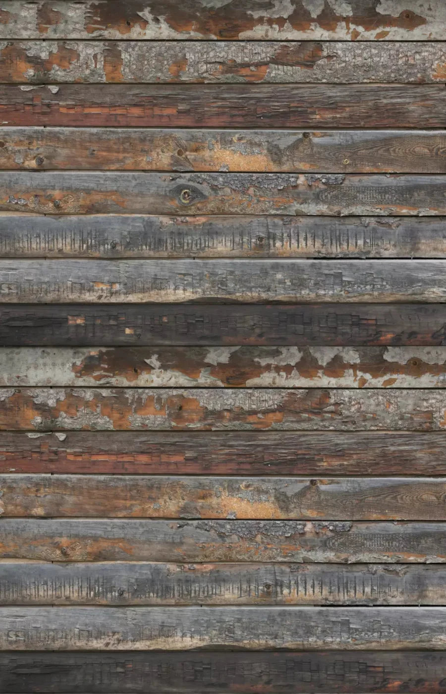 Shack 8X12 Ultracloth ( 96 X 144 Inch ) Backdrop