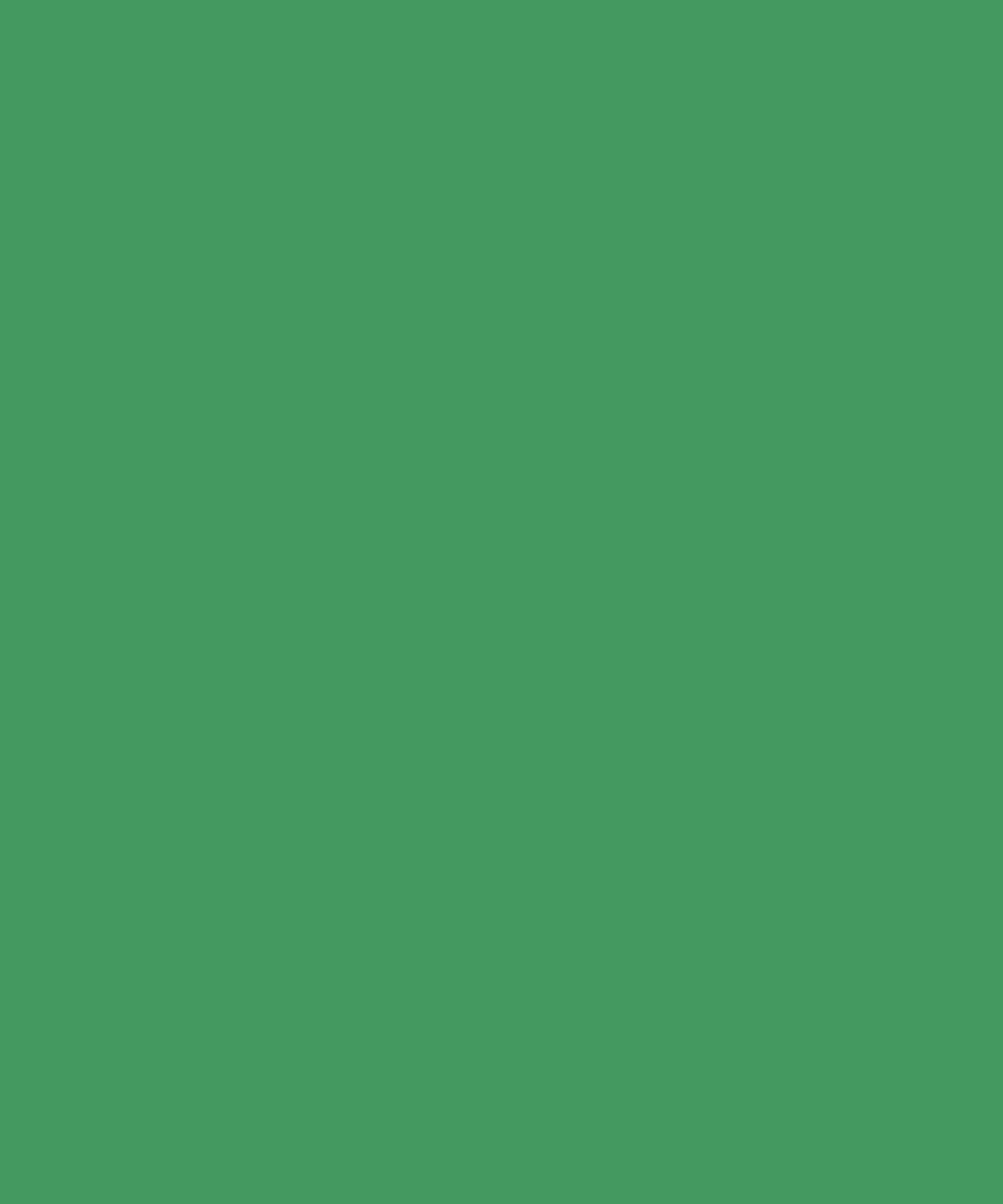 Shamrock Green Solid Color Backdrop for Photography