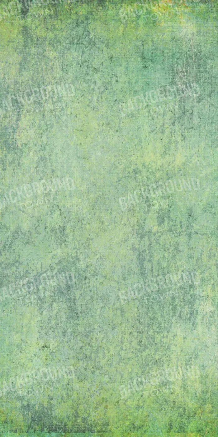 Shane 10X20 Ultracloth ( 120 X 240 Inch ) Backdrop