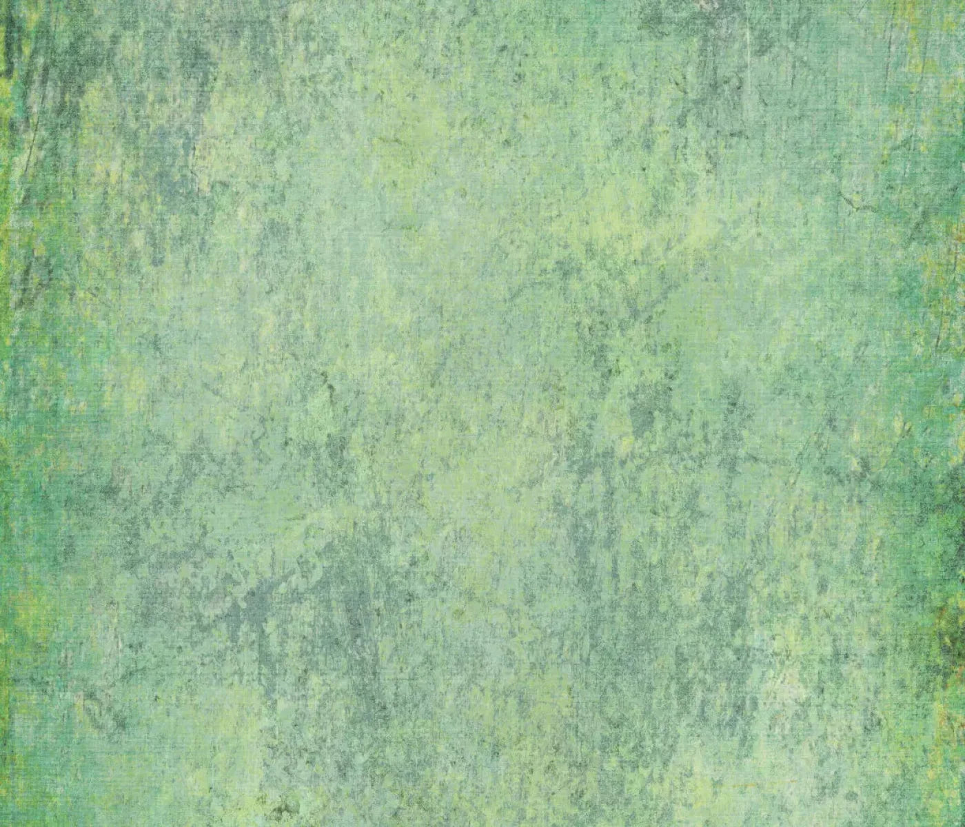 Shane 12X10 Ultracloth ( 144 X 120 Inch ) Backdrop