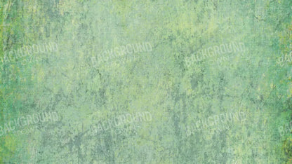 Shane 14X8 Ultracloth ( 168 X 96 Inch ) Backdrop