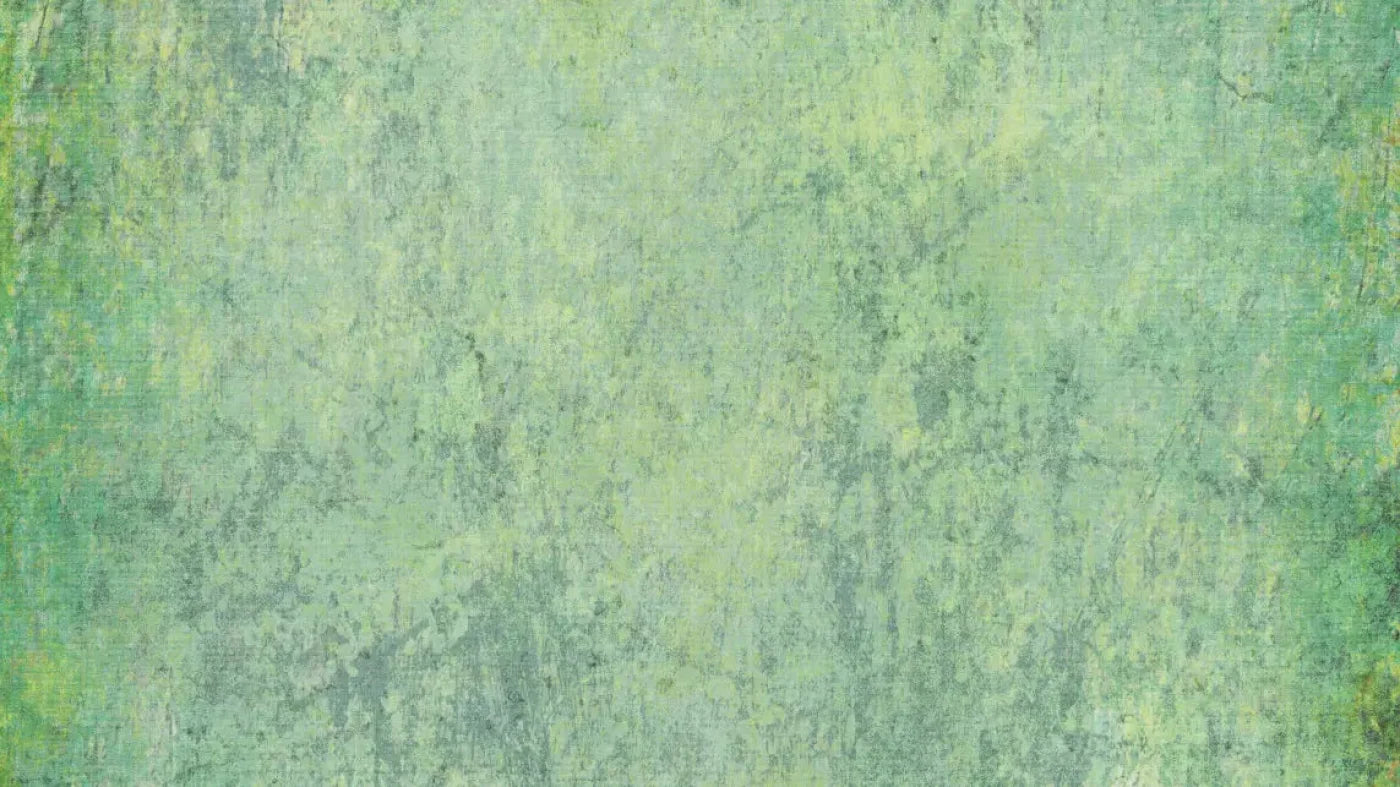 Shane 14X8 Ultracloth ( 168 X 96 Inch ) Backdrop