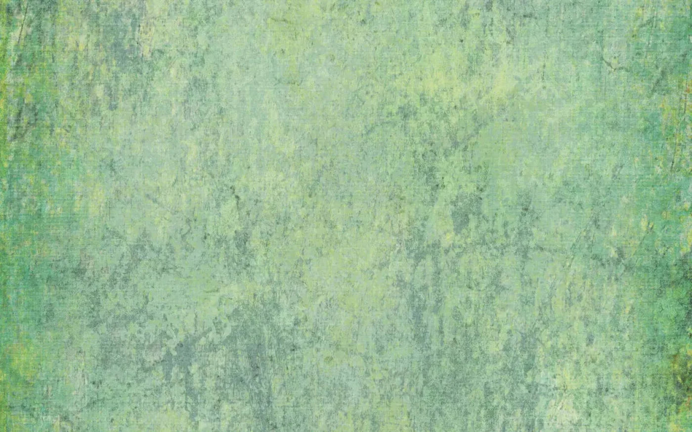 Shane 14X9 Ultracloth ( 168 X 108 Inch ) Backdrop