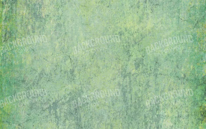 Shane 14X9 Ultracloth ( 168 X 108 Inch ) Backdrop