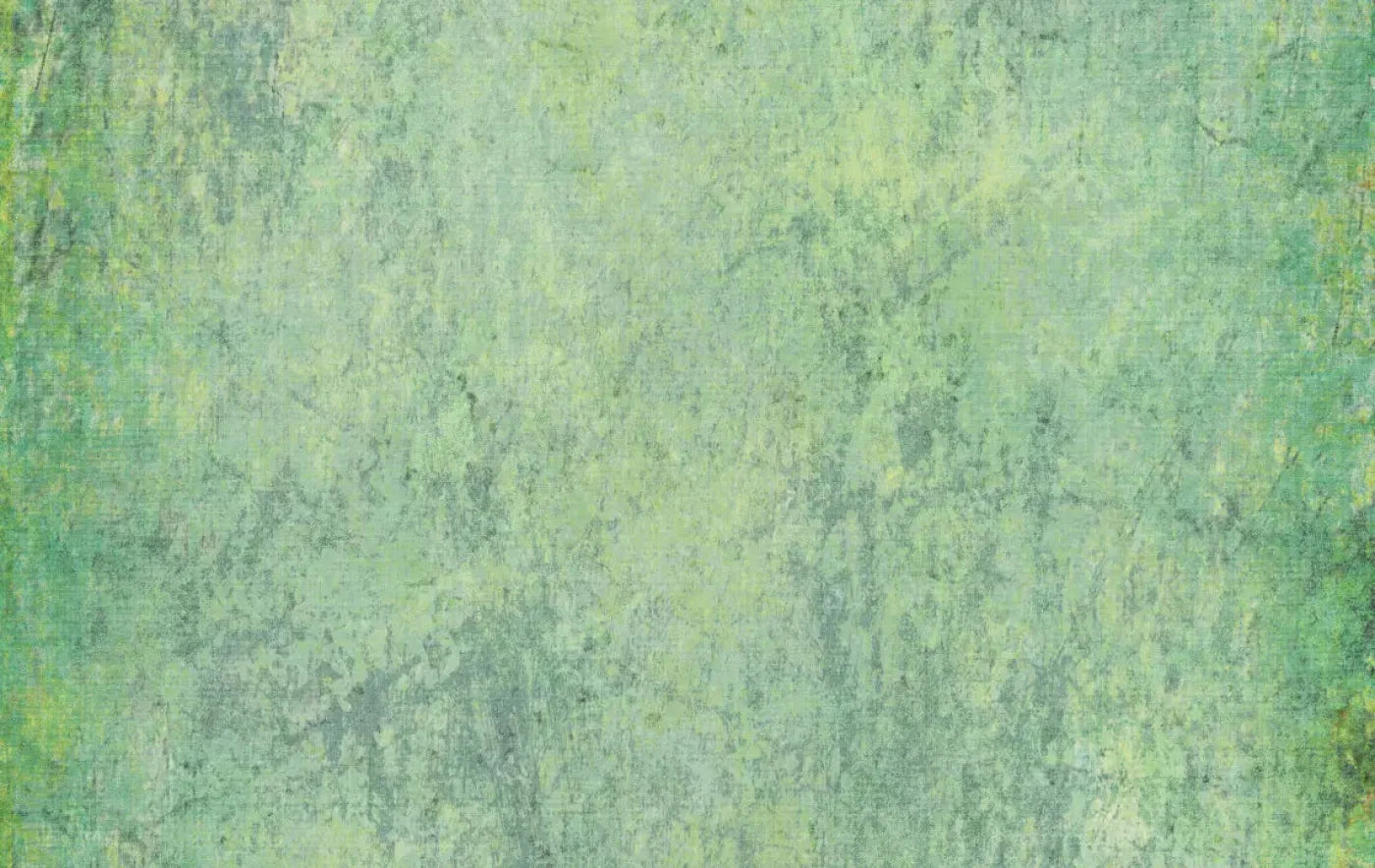 Shane 16X10 Ultracloth ( 192 X 120 Inch ) Backdrop