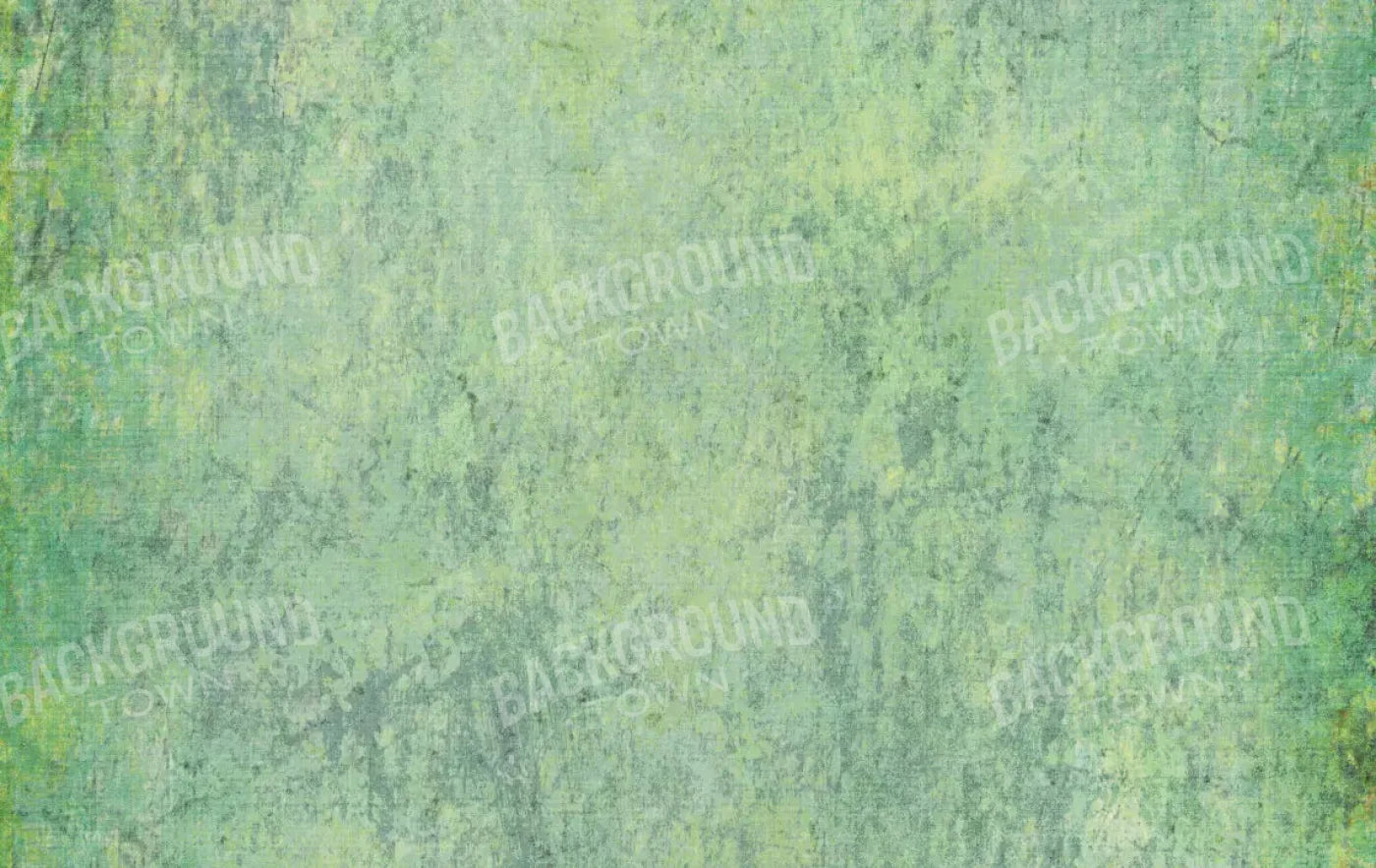 Shane 16X10 Ultracloth ( 192 X 120 Inch ) Backdrop