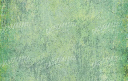 Shane 16X10 Ultracloth ( 192 X 120 Inch ) Backdrop