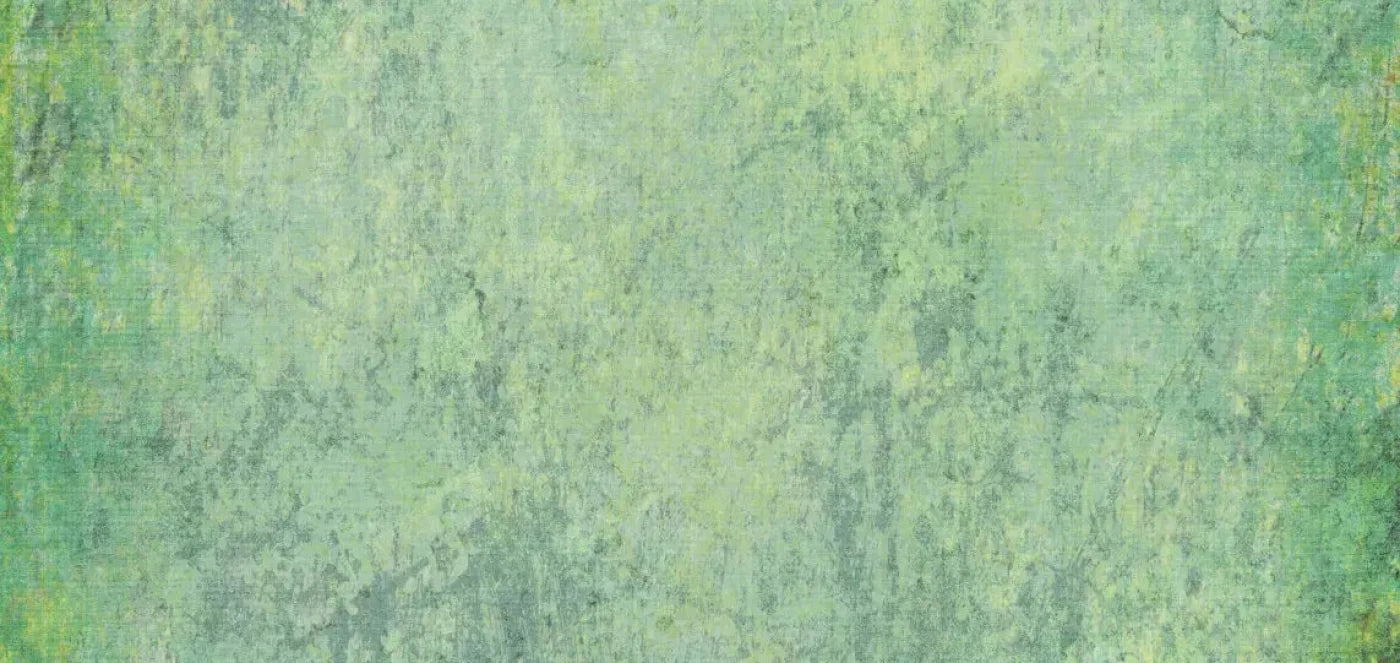 Shane 16X8 Ultracloth ( 192 X 96 Inch ) Backdrop