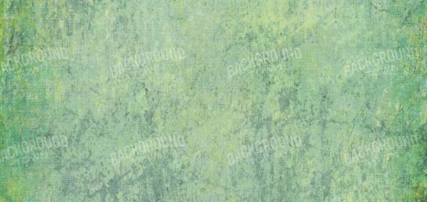 Shane 16X8 Ultracloth ( 192 X 96 Inch ) Backdrop