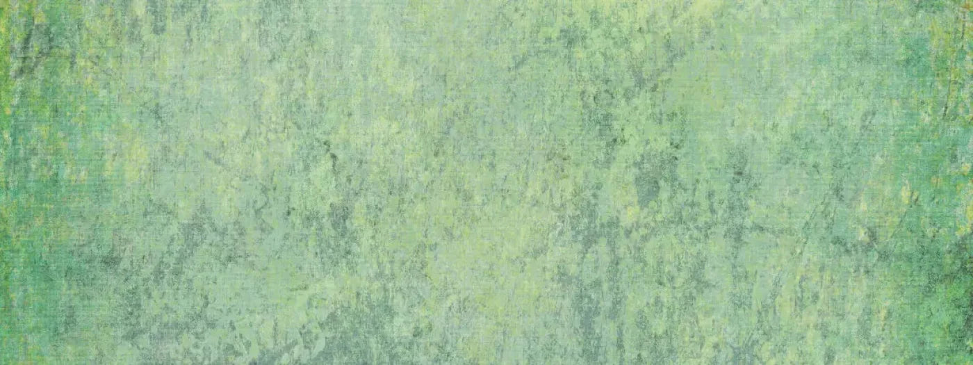 Shane 20X8 Ultracloth ( 240 X 96 Inch ) Backdrop